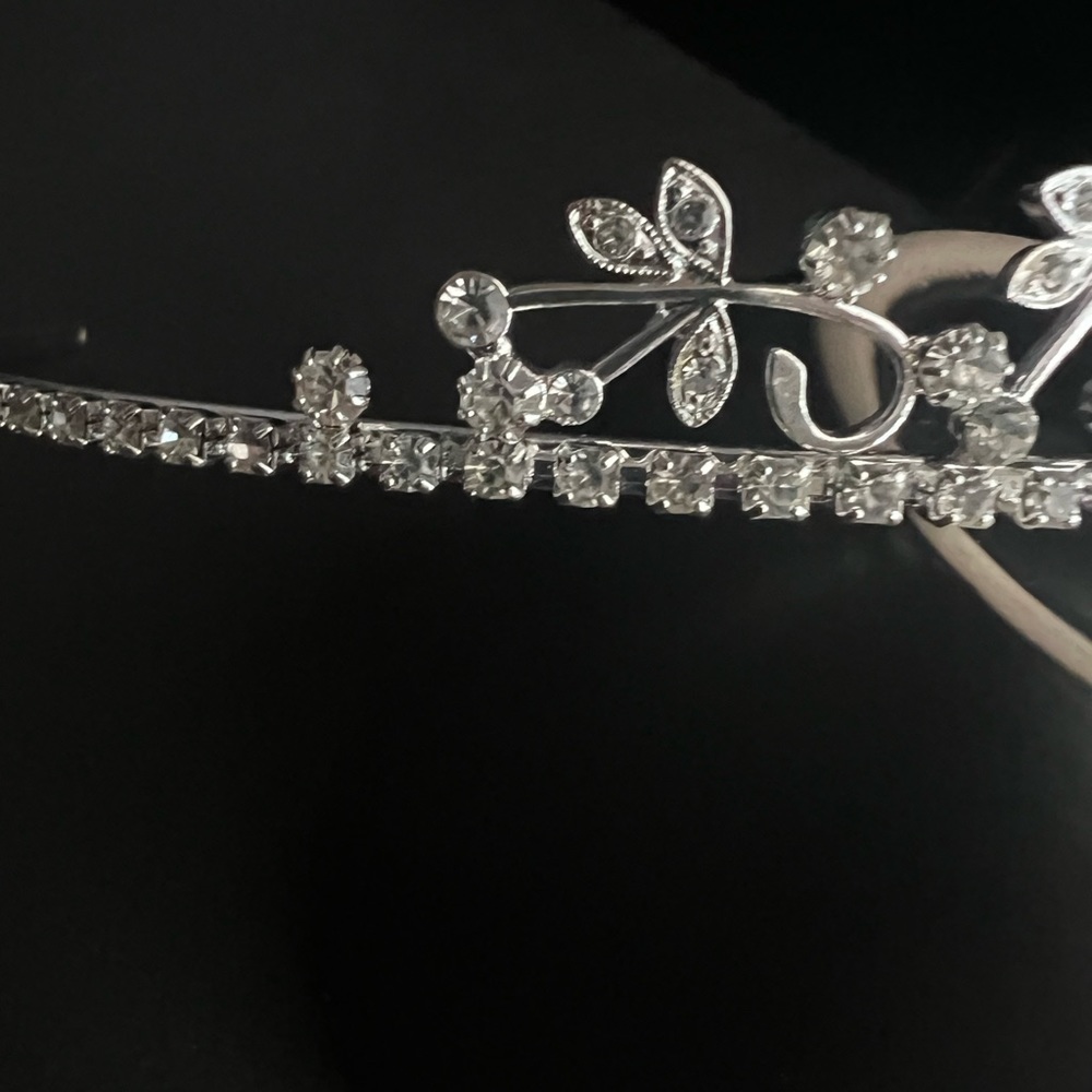 Silver Tiara - Picture 3 of 6